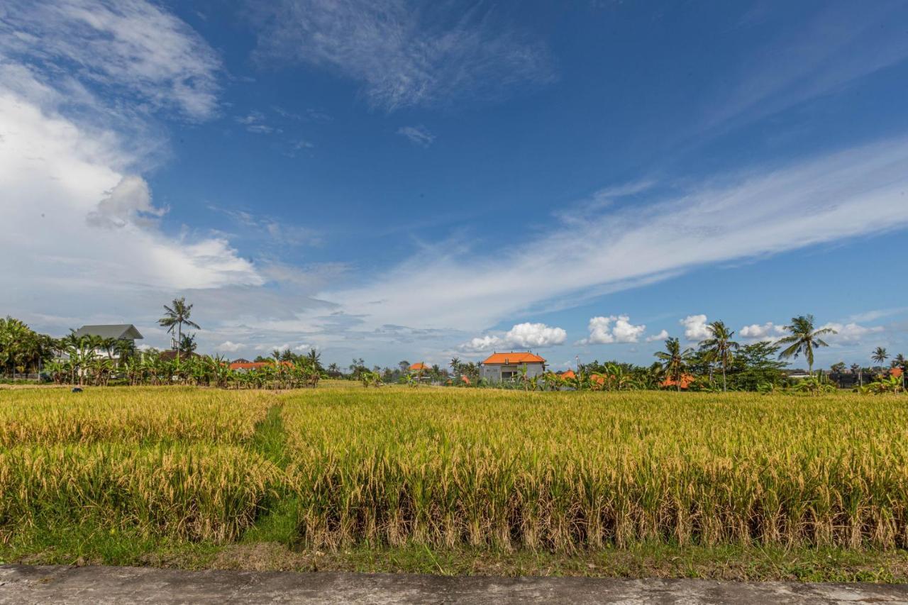 D'Jineng Rice Terrace Canggu Luaran gambar
